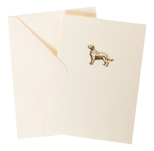 Golden Retriever La Petite Presse