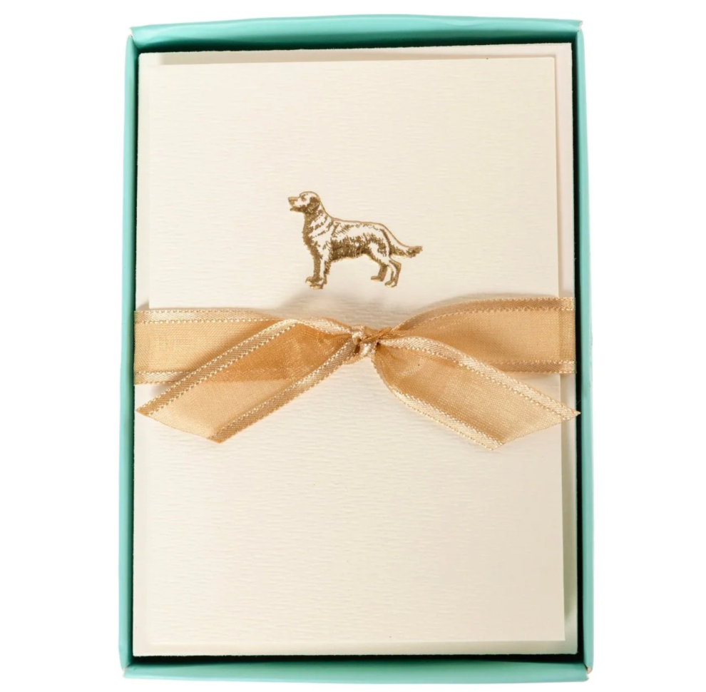Golden Retriever La Petite Presse