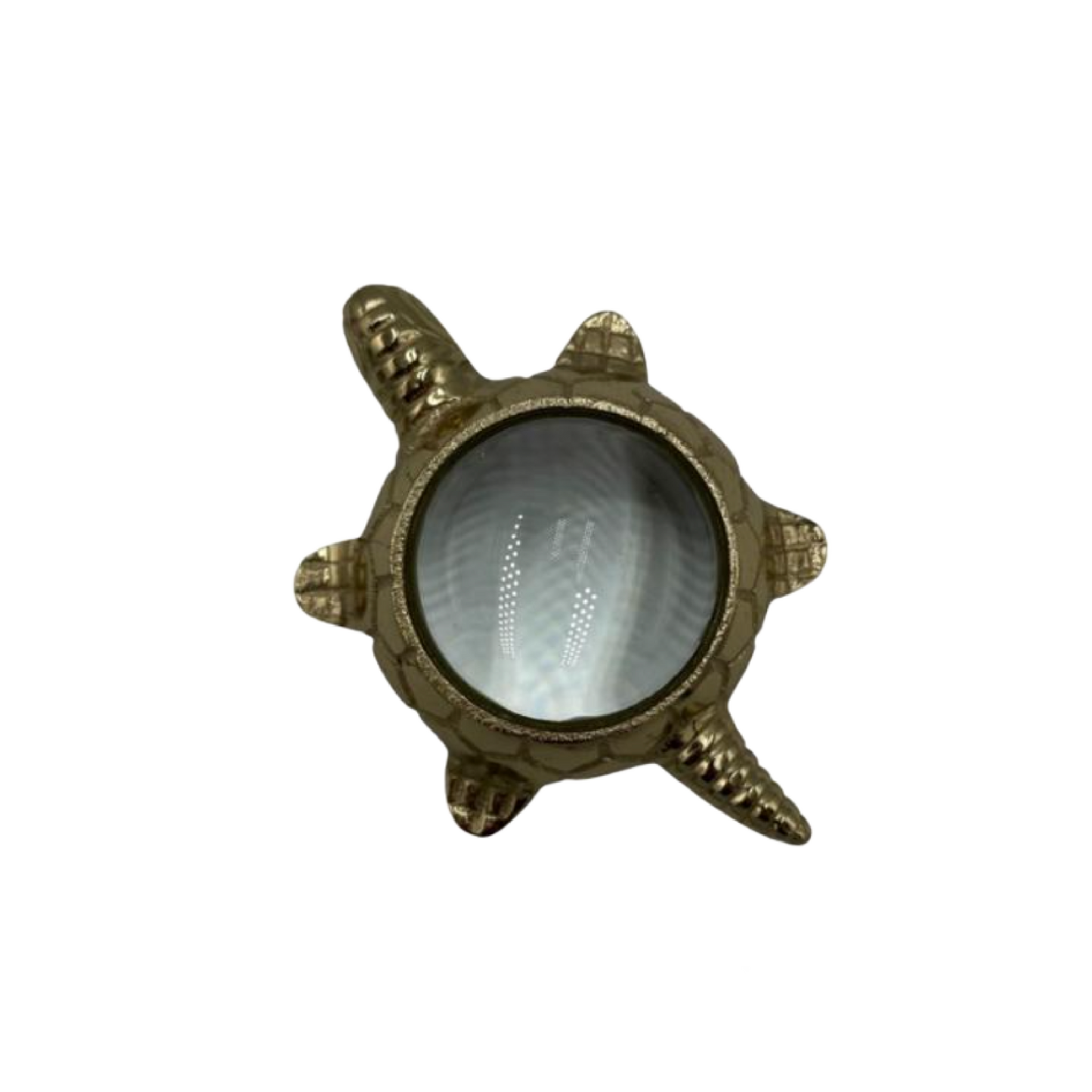 Small Brass Turtle Magnifying Glass
