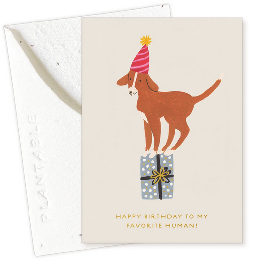 Birthday Dog Card