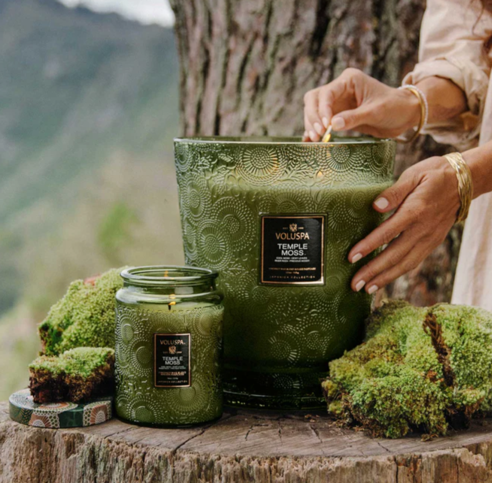 Temple Moss 5 Wick Voluspa Candle